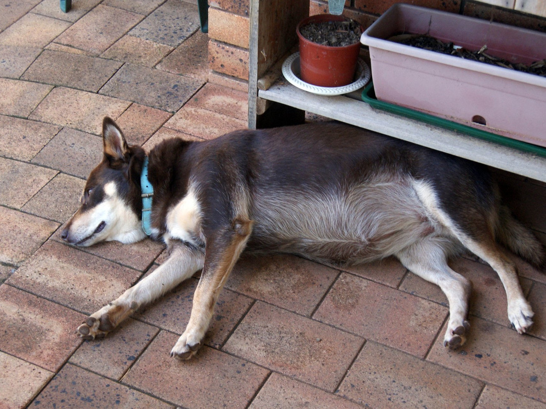 Waterways Wildlife Park-冈尼达必去景点