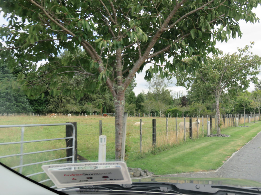 Ruapehu Country Lodge主图