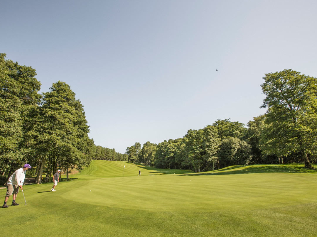 Halmstad Golfbana Tylösand-哈姆斯塔德必去景点
