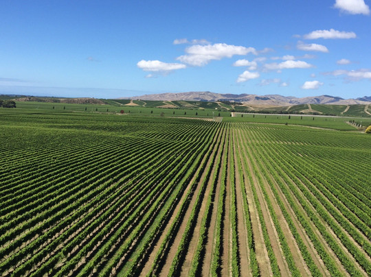 Blackley House B&B主图