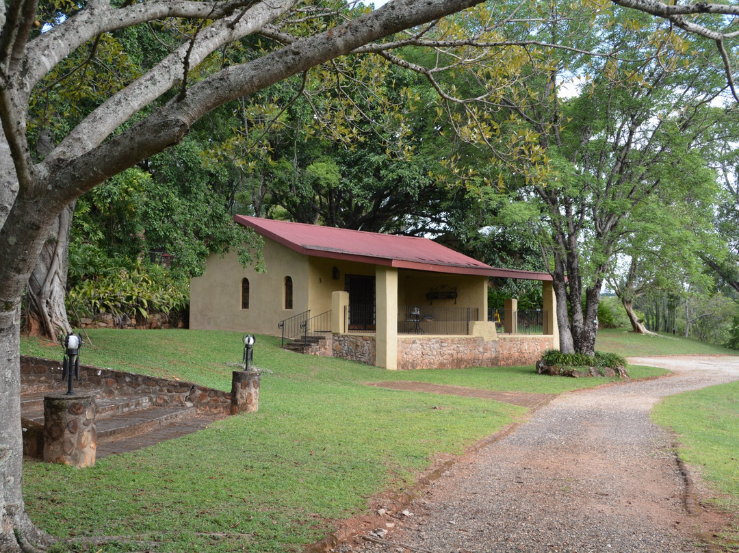 Böhm's Zeederberg Country House主图