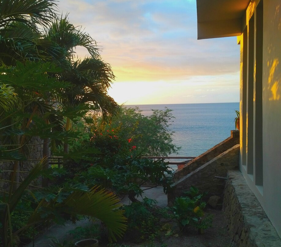 蓝鹦鹉酒店主图