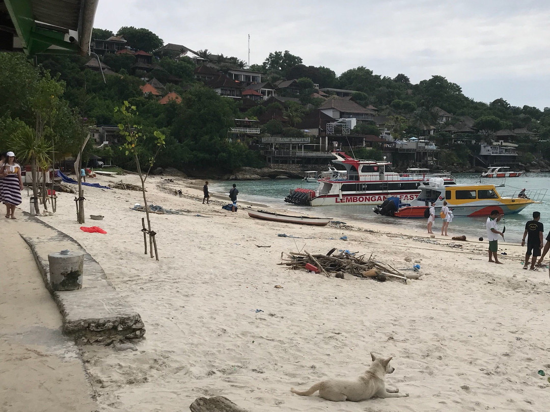 Fast Boat Bali Lombok Services-蓝梦岛必去景点