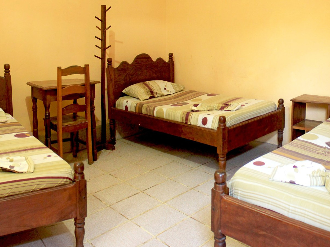 Los Tucanes de Rurre主图