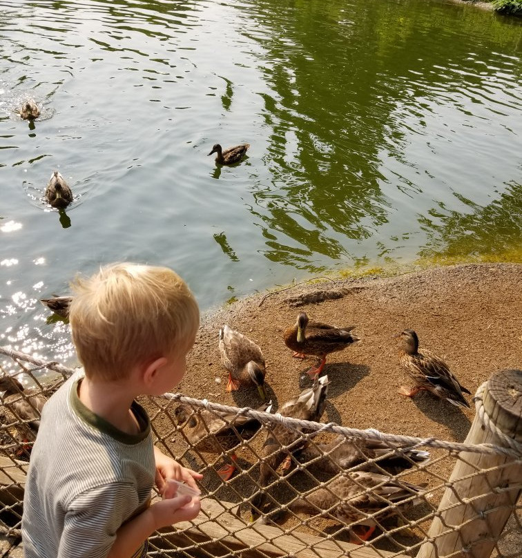 Cosley Zoo-Wheaton必去景点