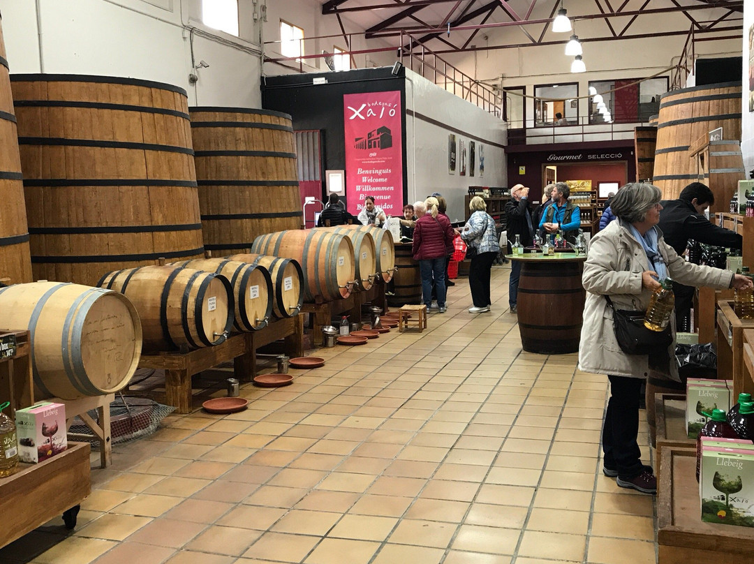 Bodegas Riko景点图片