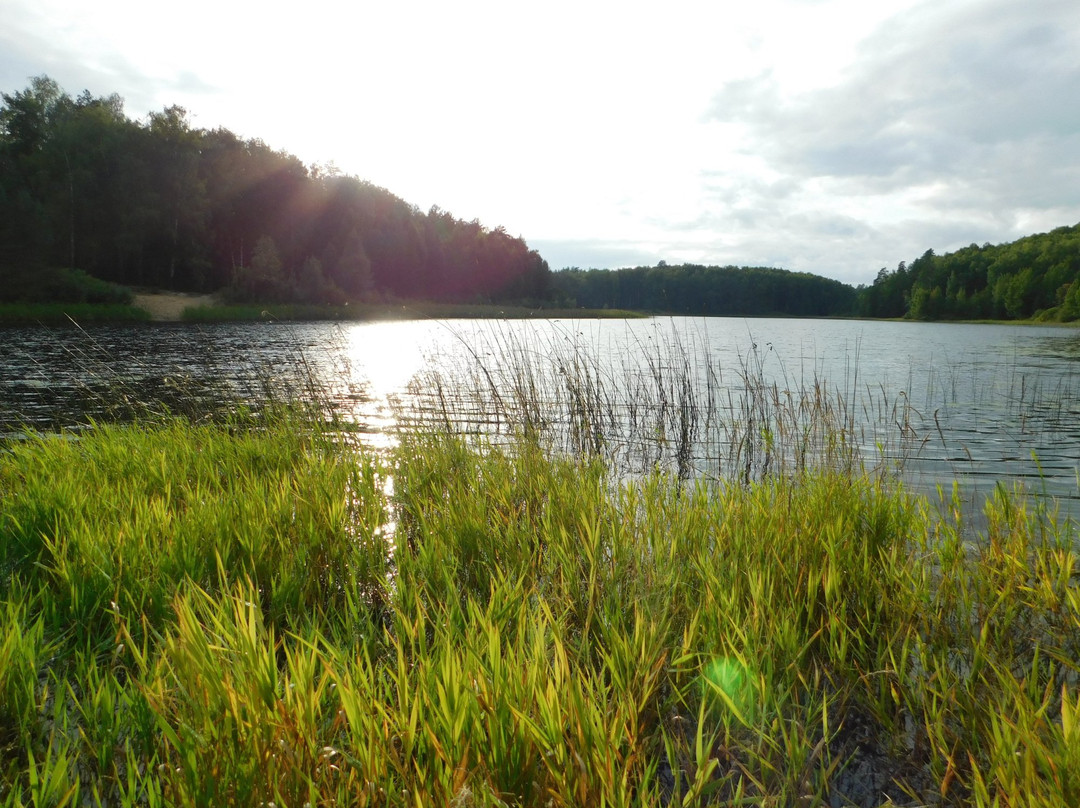 Krasnogorsky旅游攻略图片