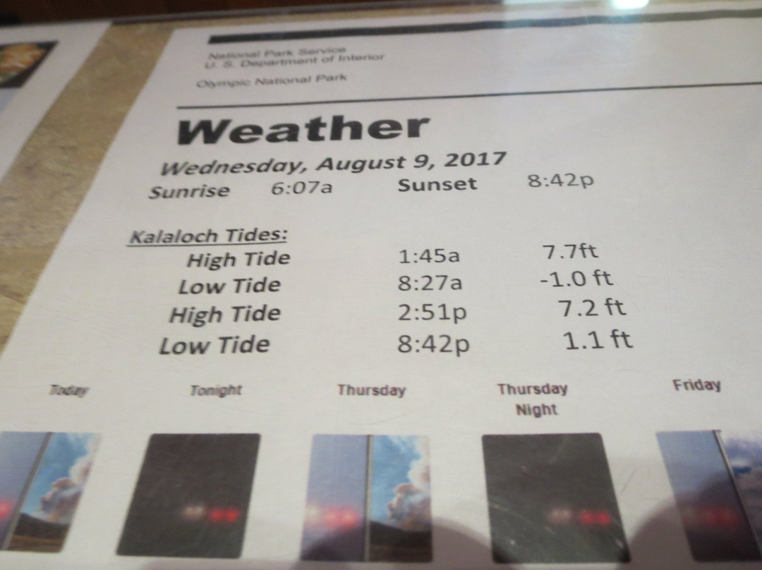 Kalaloch Ranger Station-奥林匹克国家公园必去景点