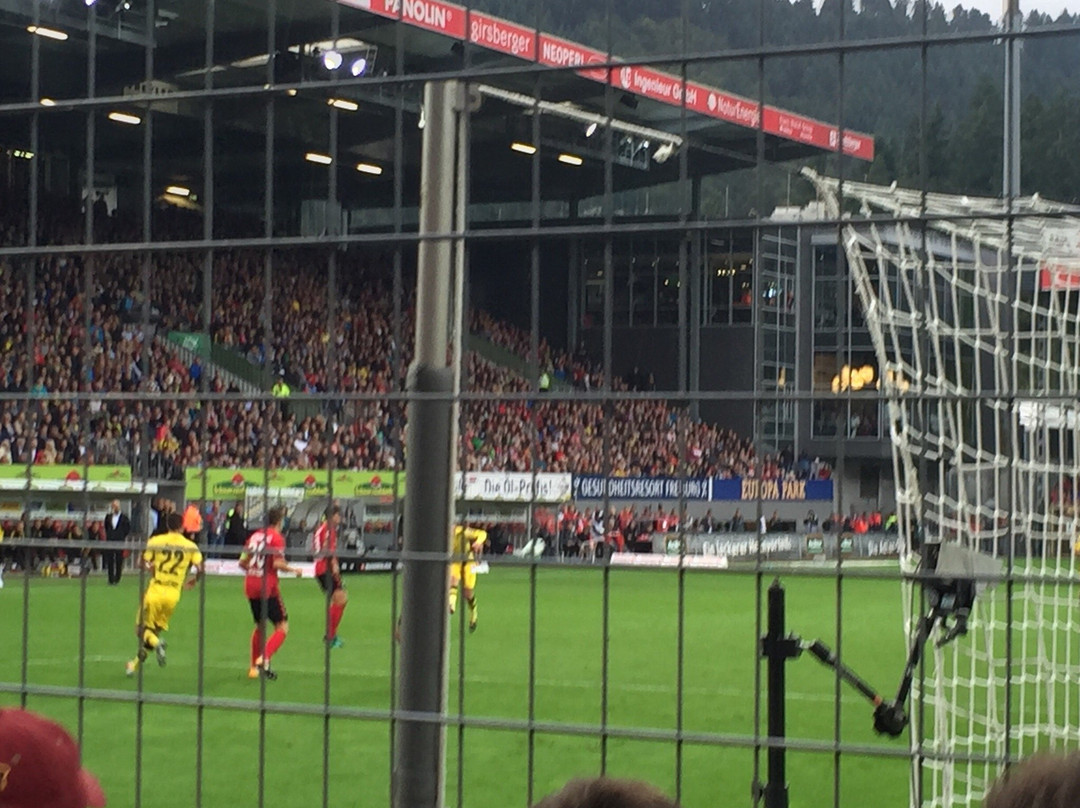 Schwarzwald-Stadion-佛莱堡必去景点