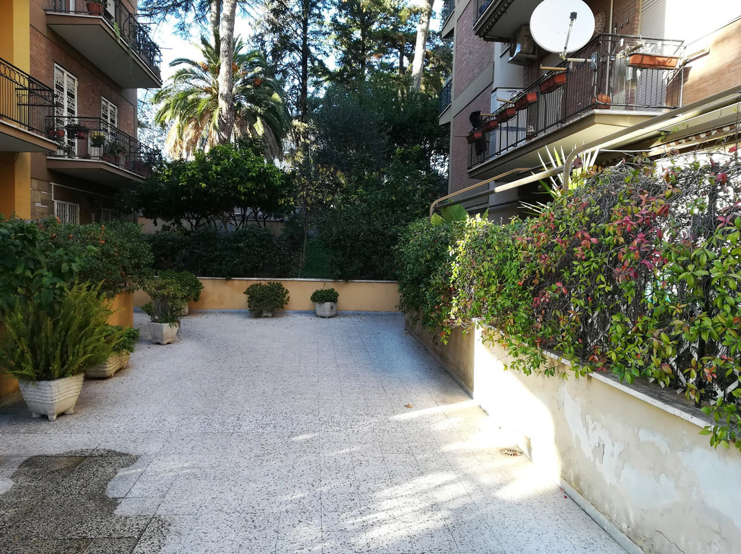 Il Fiore di Roma主图