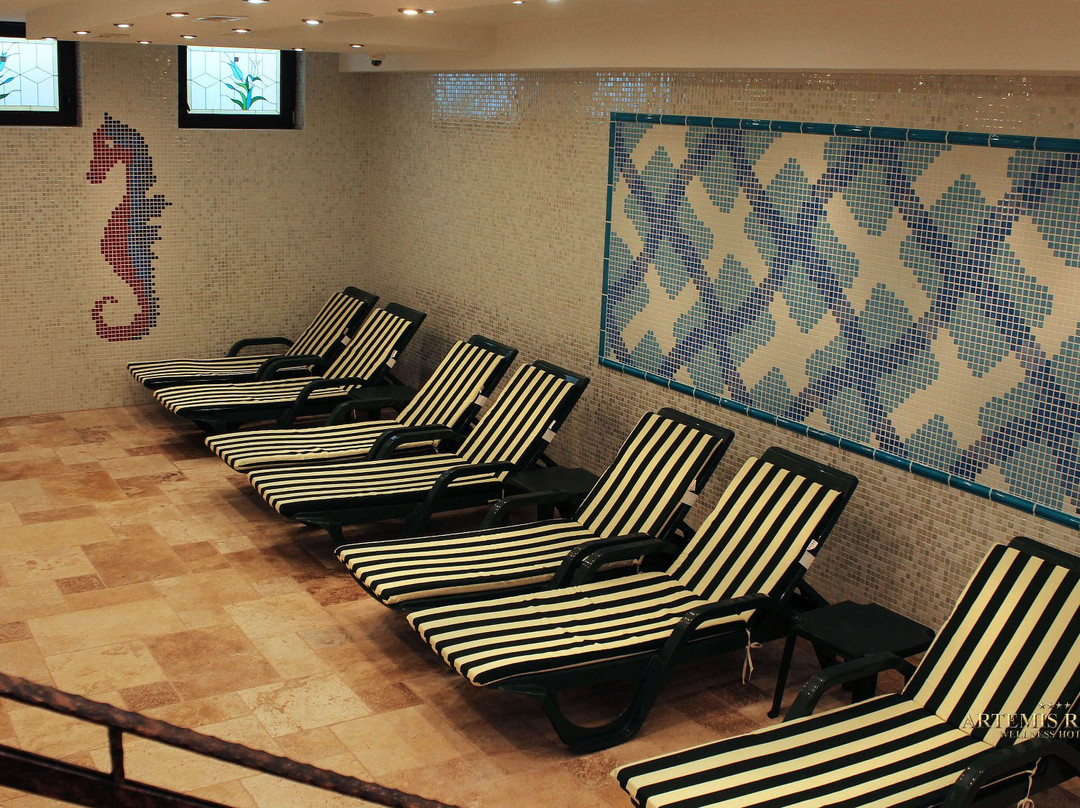 Artemis Resort Wellness Hotel主图