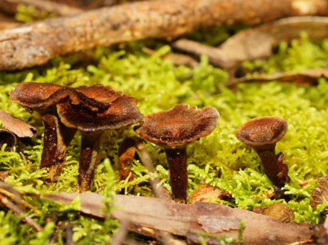 Adams Creek Conservation Reserve-Nyora必去景点