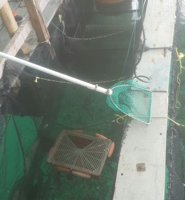 深圳南澳海鲜街-深圳市必去景点