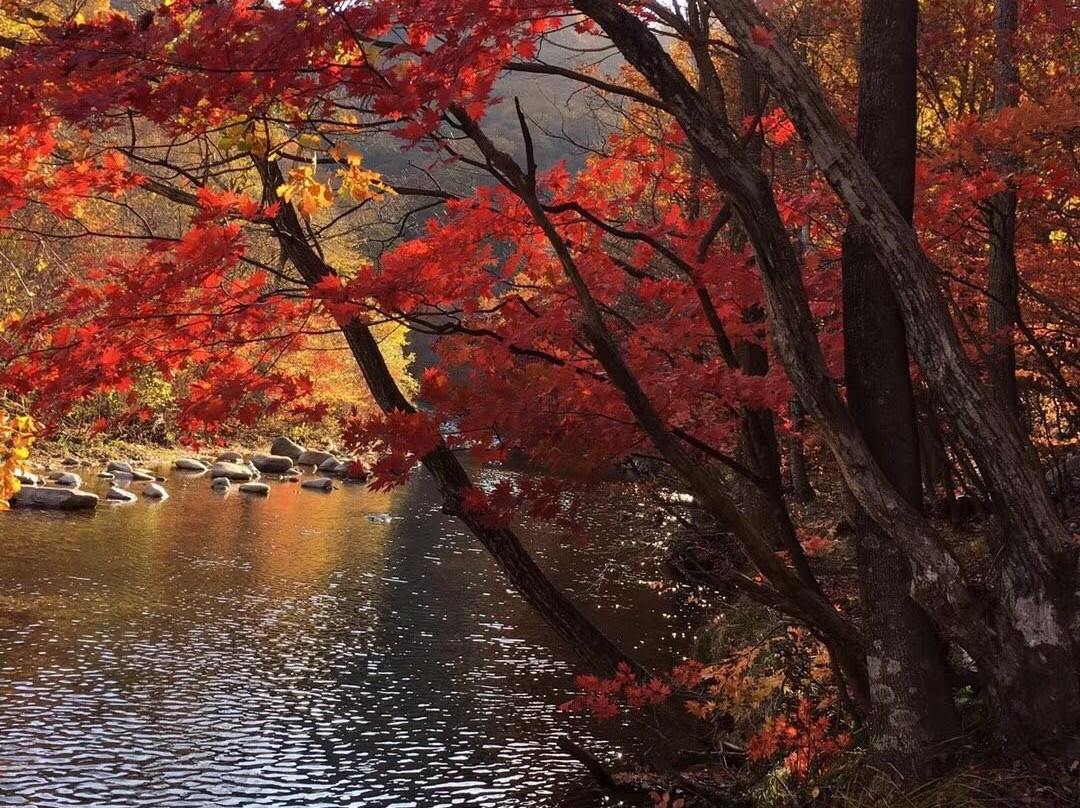 蒲石河森林公园-凤城市必去景点