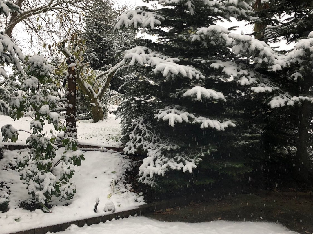 Hotel-Restaurant Landluft主图