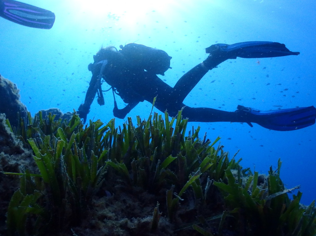 Scilla Diving Center-希拉必去景点