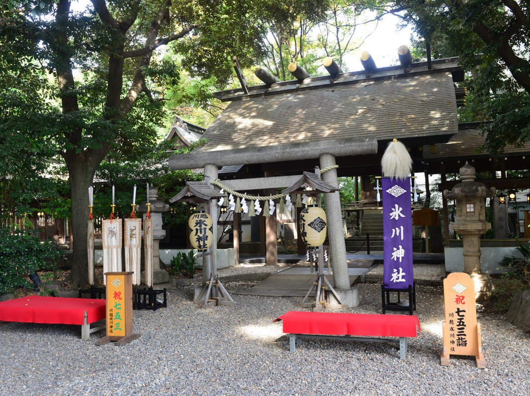 Kawagoe Hikawa Shrine-川越市必去景点