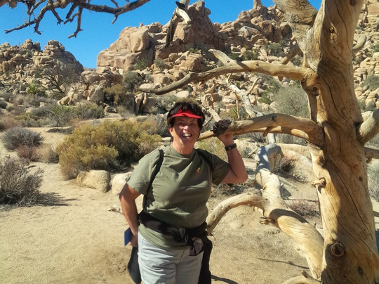 Tallgrass Hiking and Tours-棕榈沙漠必去景点