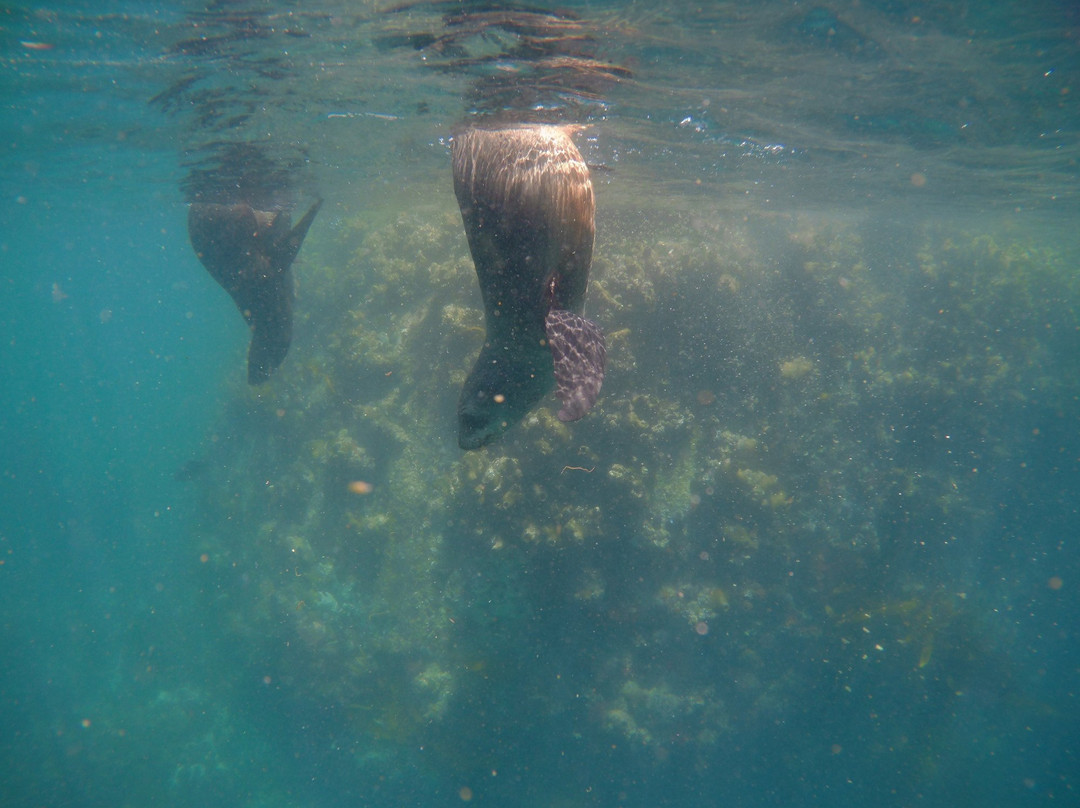 Shark Warrior Adventures-西门镇必去景点