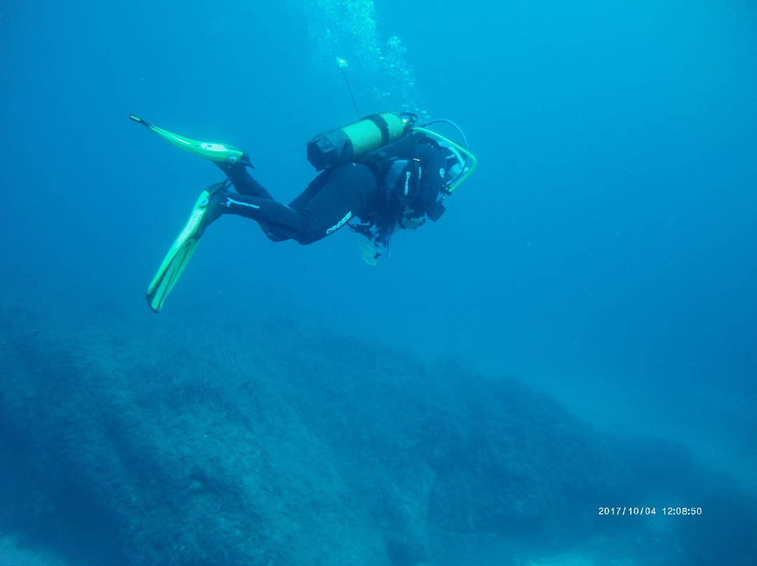 West Coast Divers-Ses Illetes必去景点
