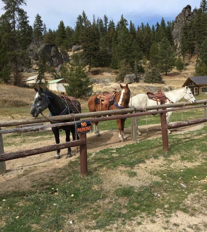 Hidalgo Trail Rides景点图片
