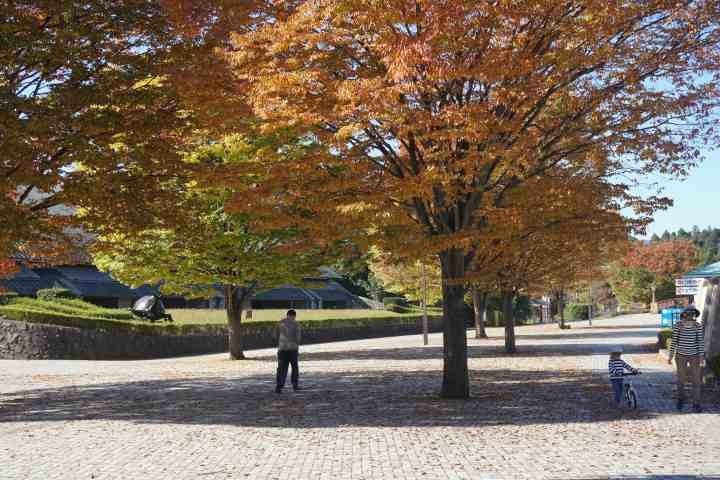 Momijidaira Sogo Park景点图片