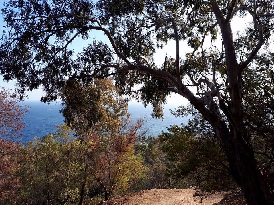 Parc Du Paradou-Golfe-Juan Vallauris必去景点