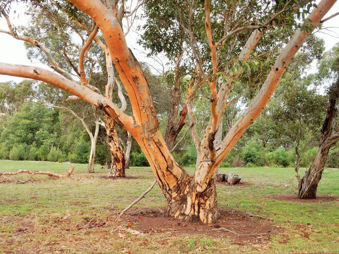 Kurll Park and Lookout-Narre Warren必去景点