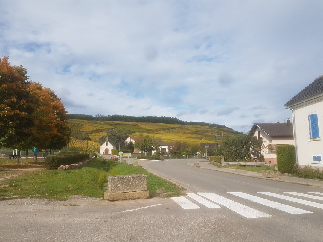 Domaine François Schmitt景点图片