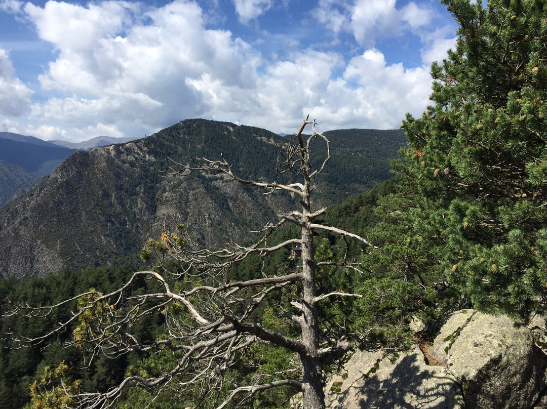 Circuito De Les Fonts-莱斯埃斯卡迪斯必去景点
