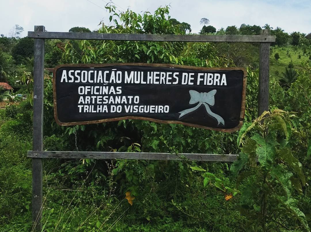 Trilha do Visgueiro-Maragogi必去景点