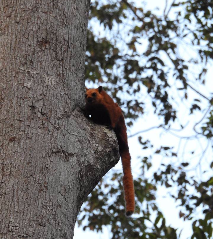 Sungai Menyala Edu-Ecotourism Center-波德申必去景点