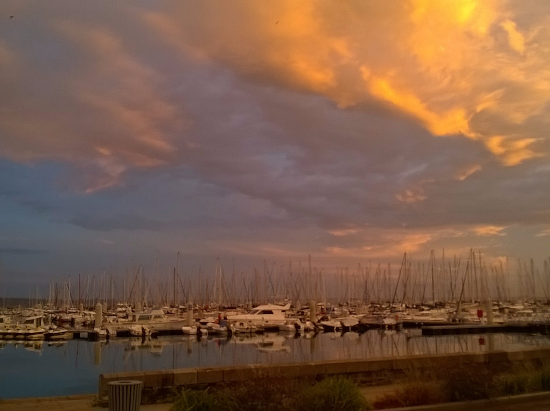 Marina du Château