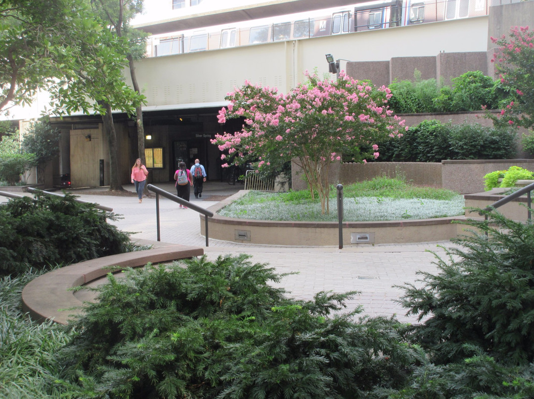 Gateway to NOAA-银泉必去景点