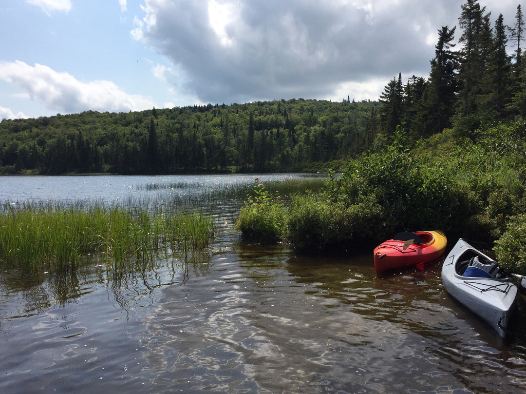 Coleman State Park-West Stewartstown必去景点