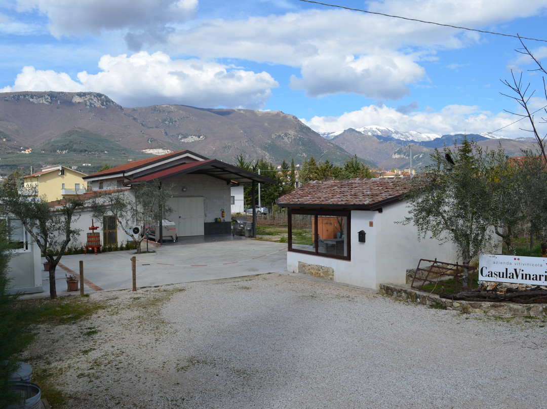 Casula Vinaria Winery景点图片