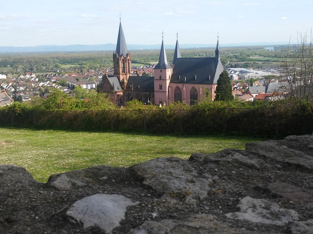 Burg Landskron景点图片