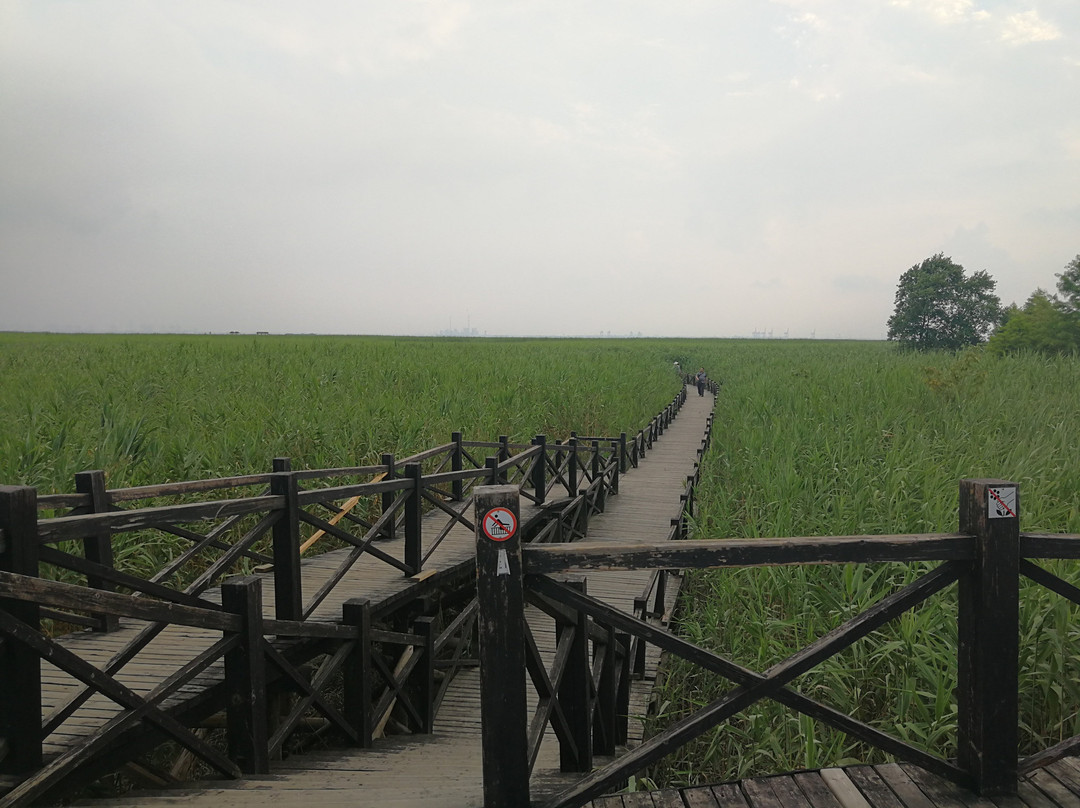 西沙湿地公园景点图片