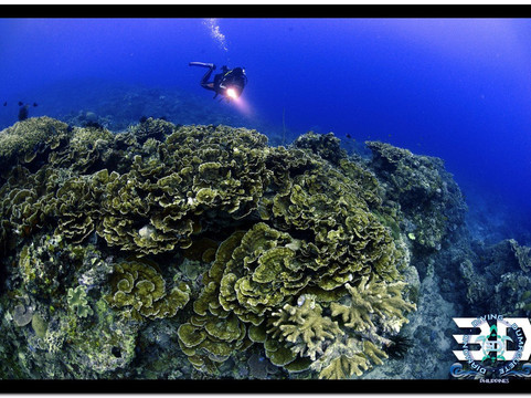 3D Diving Sipalay-Cauayan必去景点