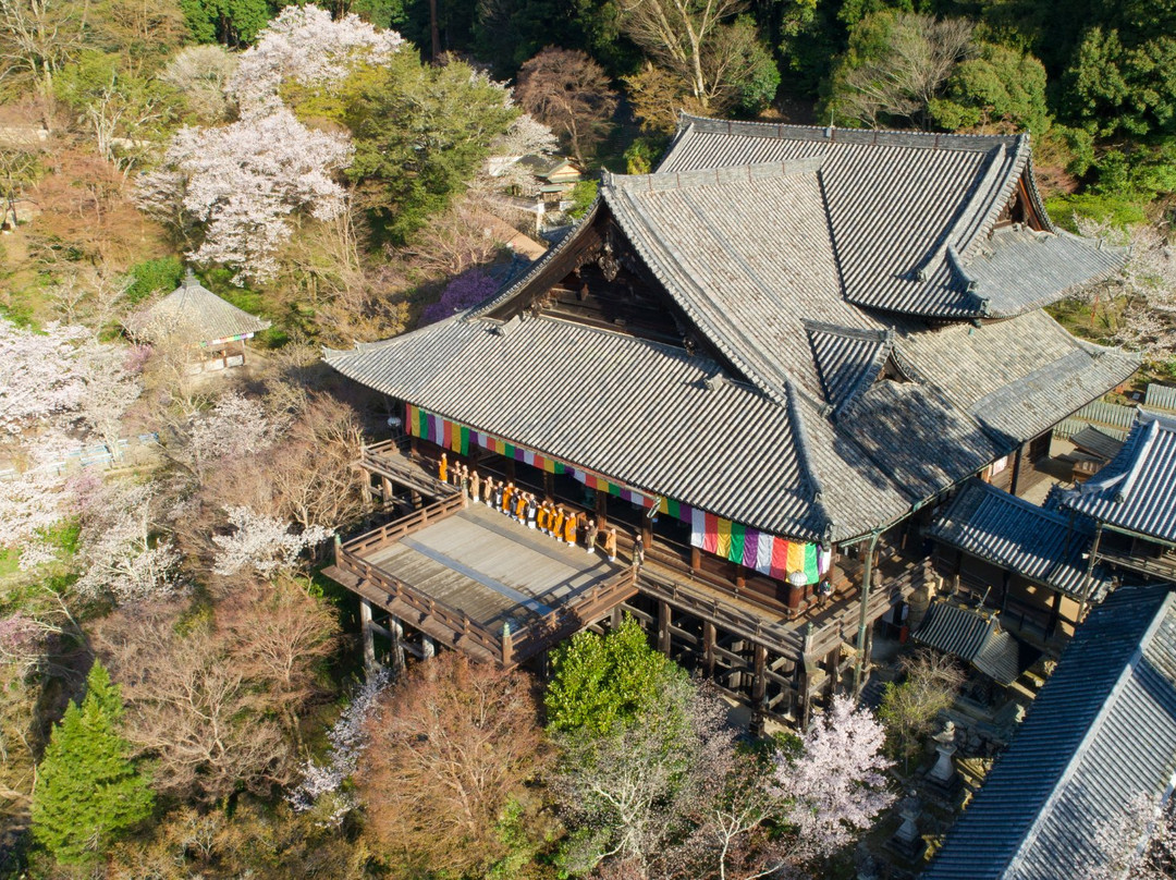 Hasedera Temple景点图片