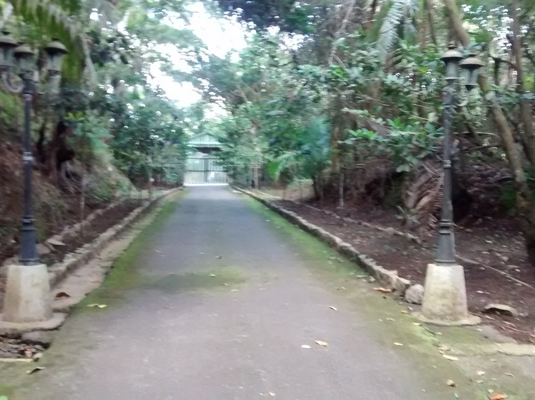 Monte Guilarte State Forest-Adjuntas必去景点