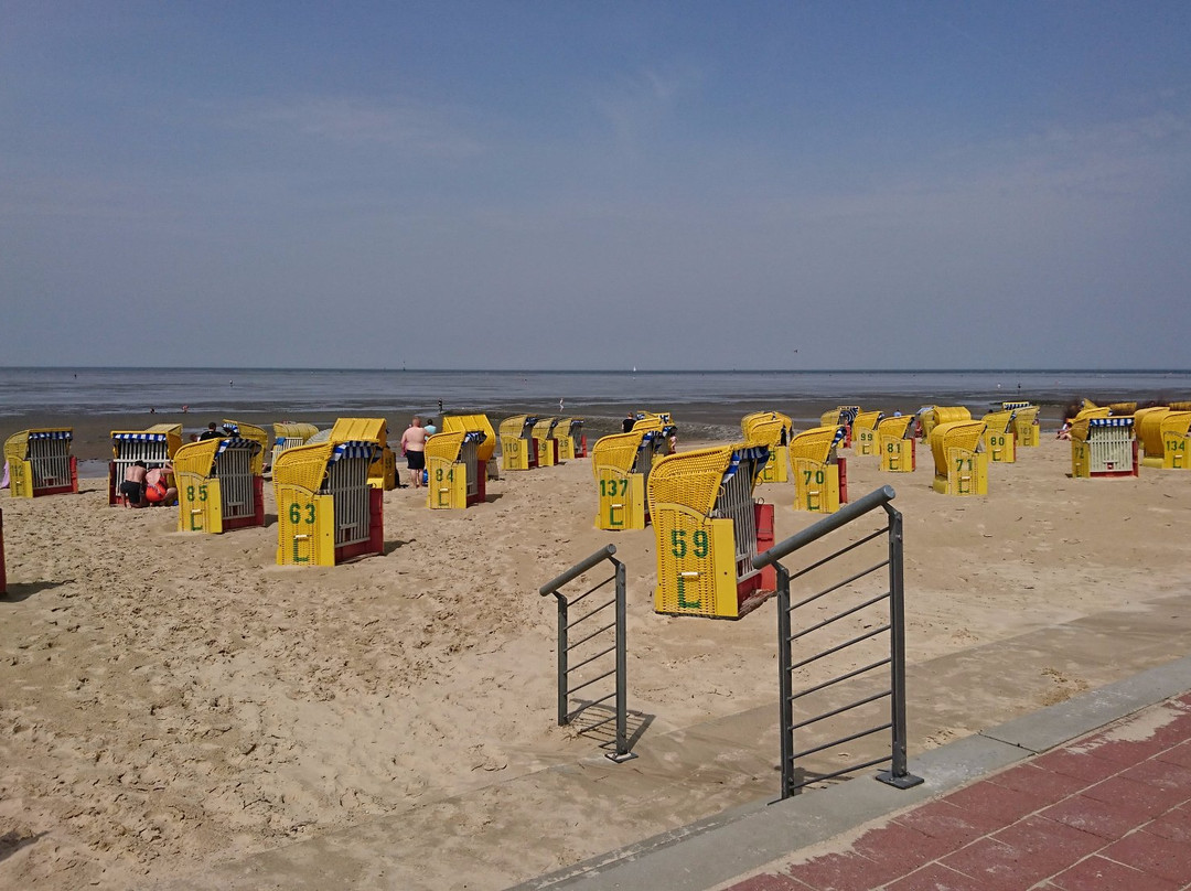 Nationalpark Schleswig-Holsteinisches Wattenmeer-库克斯港县必去景点