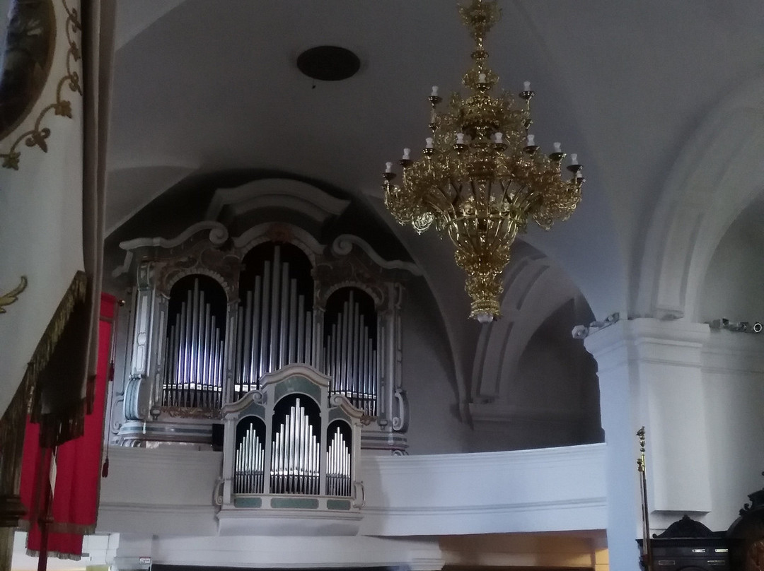 Novo Mesto Cathedral-Novo Mesto必去景点