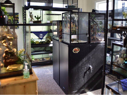 Backyard Wildlife Resource Center-Cedar Hill必去景点