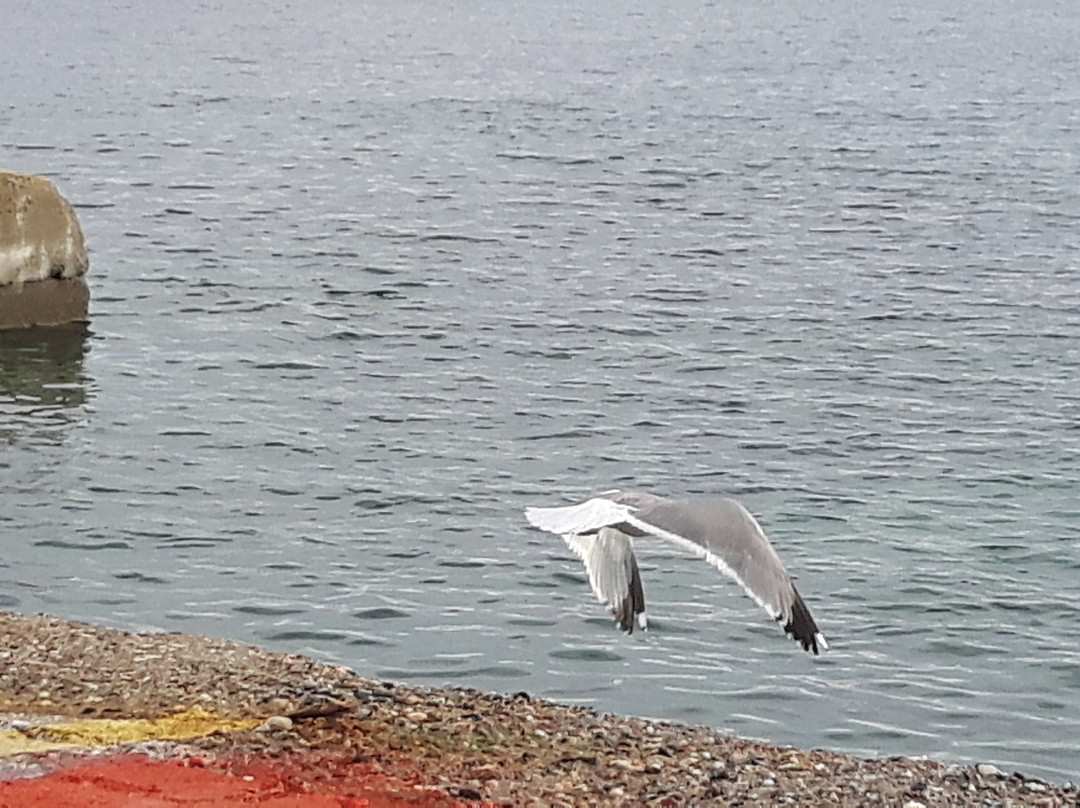 Ammouliani Hotel主图