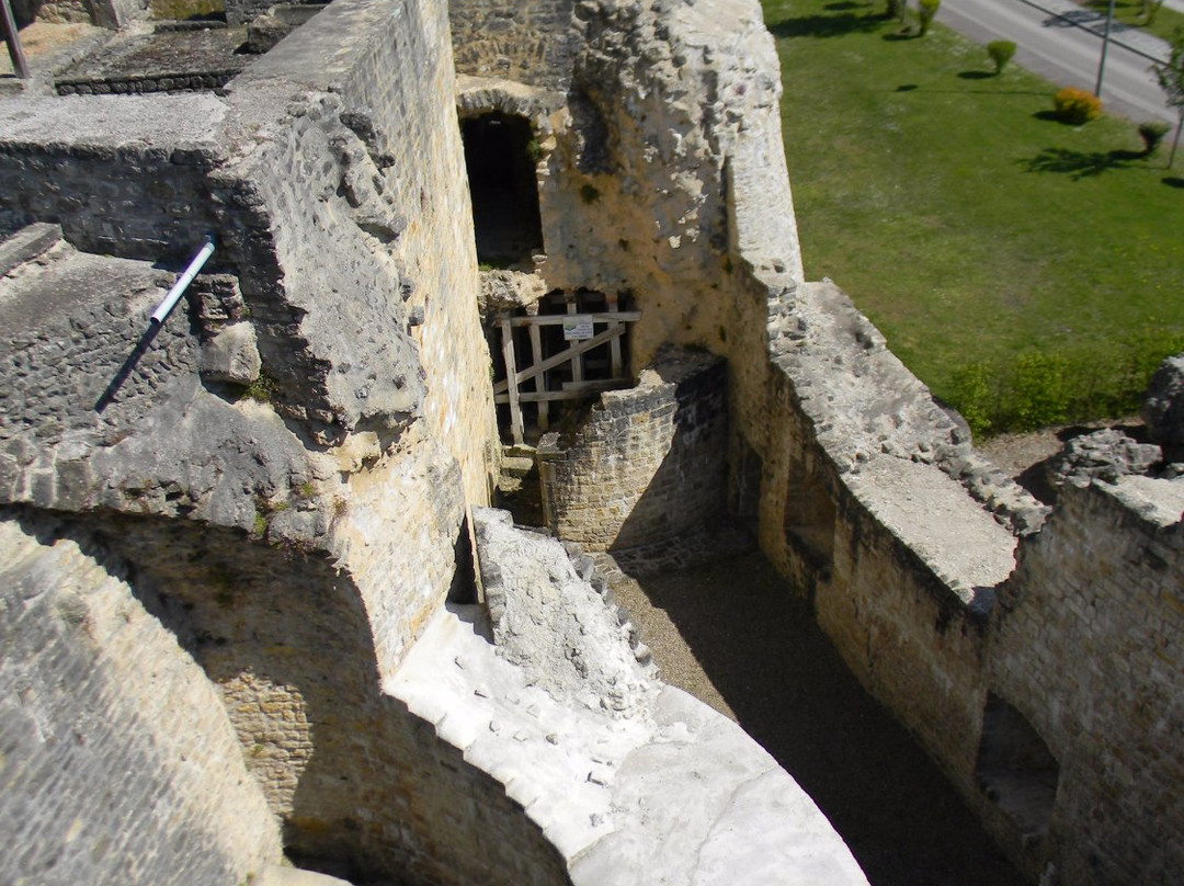 Forteresse de Chatel-Sur-Moselle景点图片