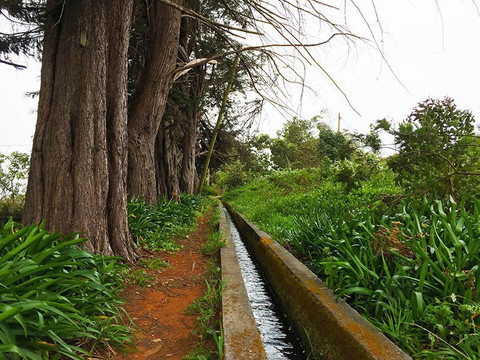 Walkme Madeira Levadas-沙尔必去景点