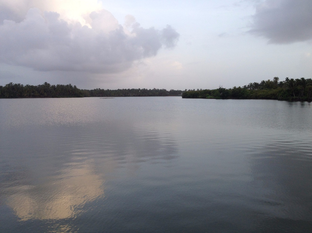 Kavvayi Islands景点图片