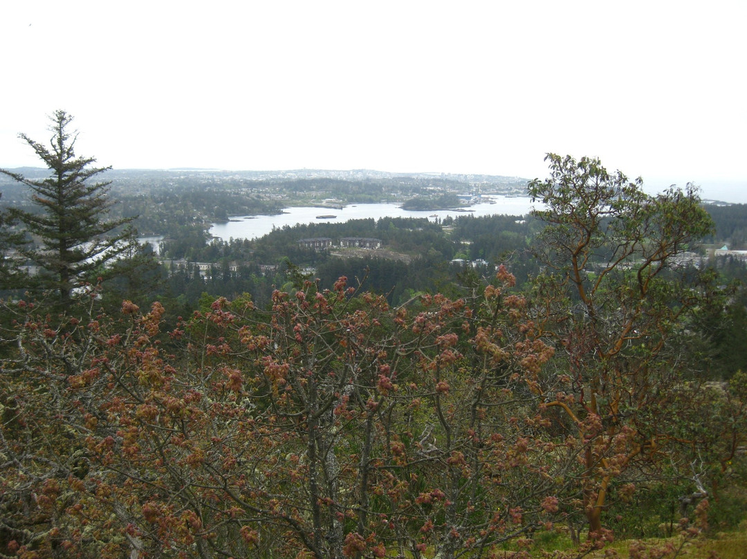 Mill Hill Regional Park景点图片