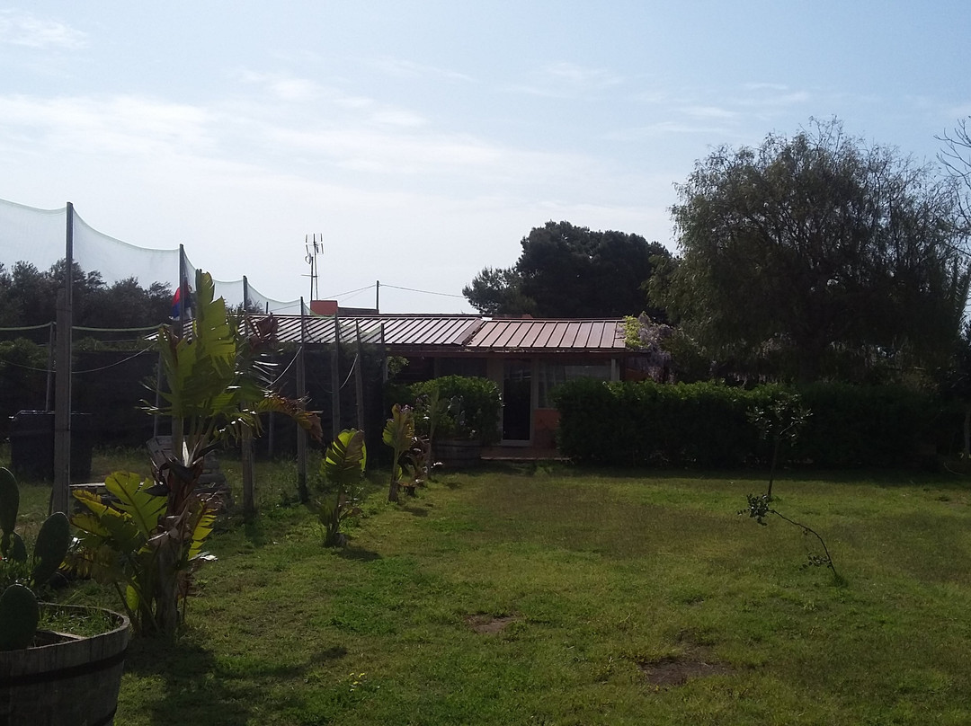 Punta Secca酒店住宿-Al Carrubbo